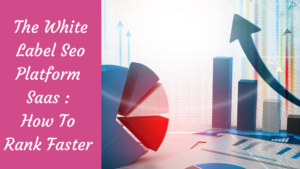 Read more about the article The White Label Seo Platform Saas : How To Rank Faster