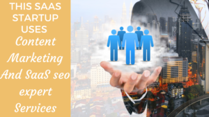 Read more about the article This SaaS Startup Uses Content Marketing And SaaS Seo Expert